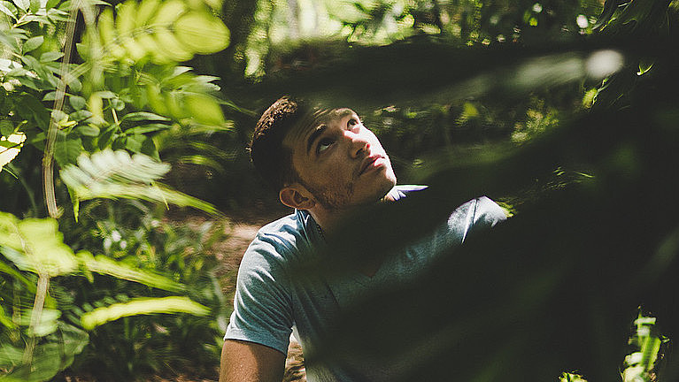 ein junger Mann in einem Wald, mit Blick nach oben