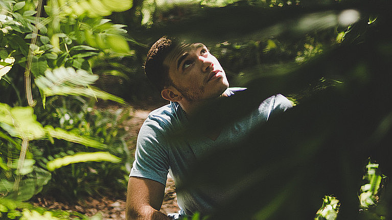 Ein Mann steht in einem Wald inmitten von grünen Pflanzen, er hat den Blick nach oben gerichtet